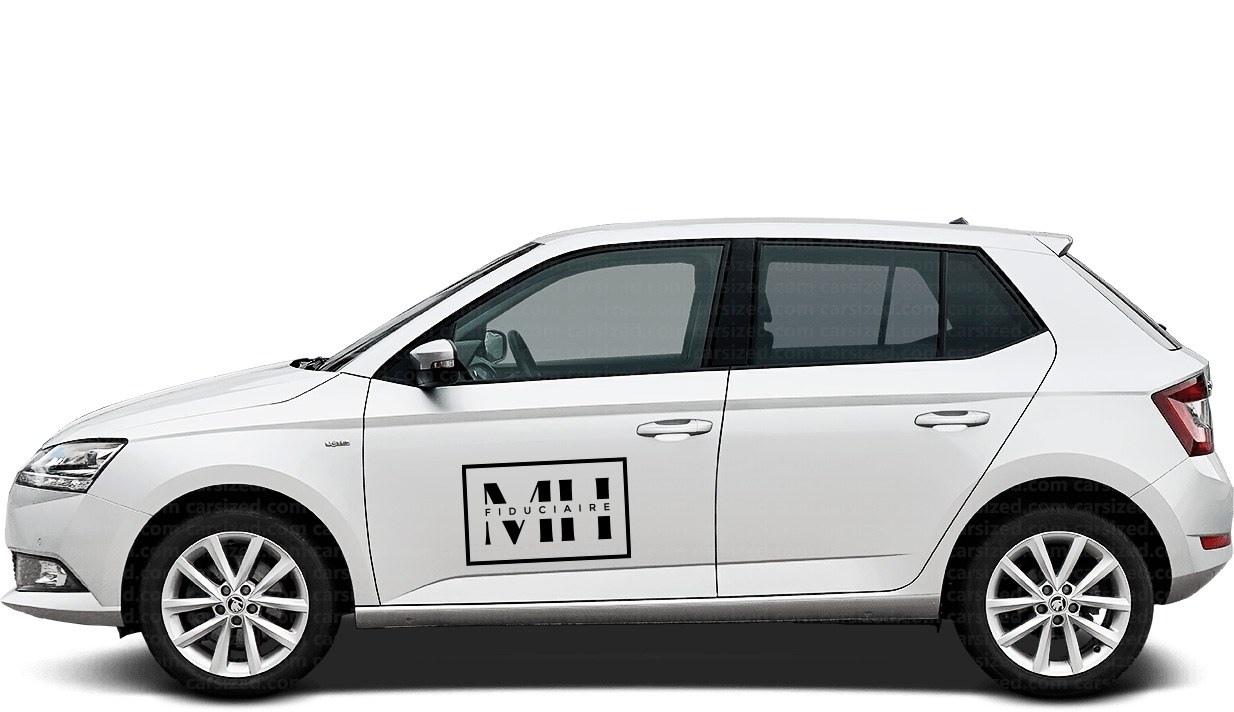 Le marquage de la voiture : le logo sur la portière