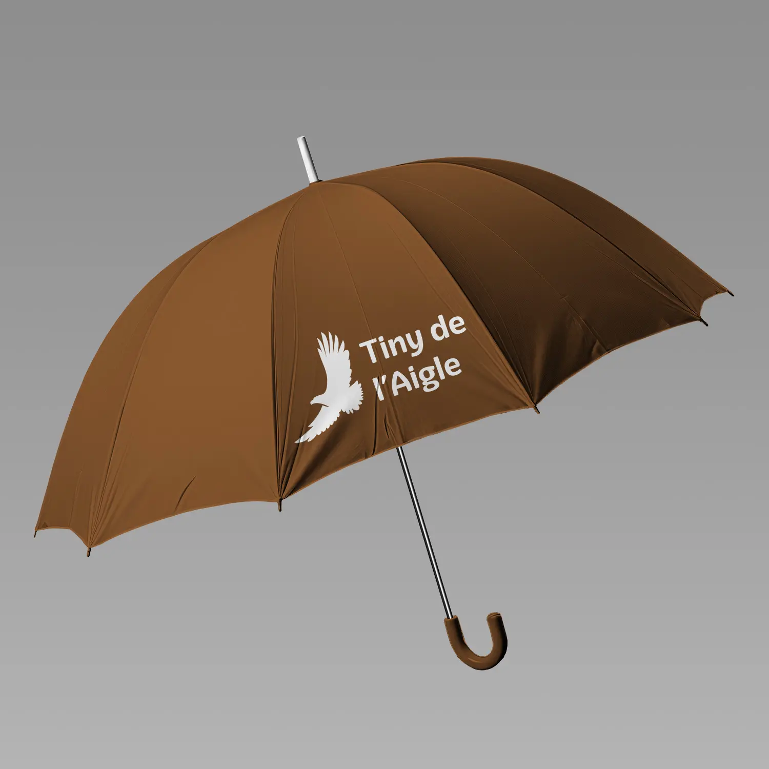 Parapluie Tiny de l'Aigle