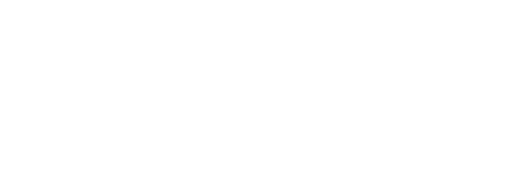 ISM